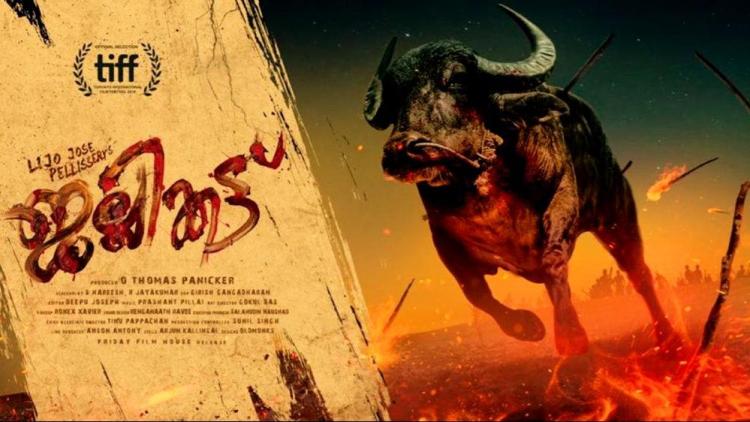 Horrifying thriller tale of buffalo: Jallikattu